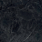 PF60015279 Tarsia Nero Imperiale Lux 3D Rett 120x120 Versace (Gardenia Orchidea)