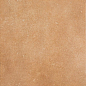 Pav.BASE VEGA OCRE R9 33х33 Exagres
