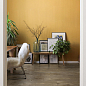 Inedito Ragno Marazzi