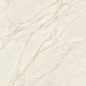PF60015278 Tarsia Avorio Apuano Lux 3D Rett 120x120 Versace (Gardenia Orchidea)