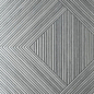 8027 Gray Starwood 60x120 Fakhar