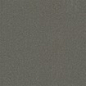 100GB0ANT PAG10 CHARCOAL ANT 10x11 Winckelmans