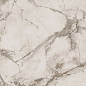 PF60004312 Epoque White Lap 60X60 Ariana