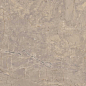 BR02 Bernini Beige полированный 60x120x10 Estima