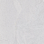 Alexandria Light Sugar Carving 60x120 Realistik