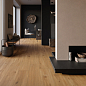 CAO8 Izumi IZ05 Nocciola Classico SP SQ 25х150 Mirage