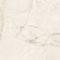 RS 154 Ivory Carving Glossy 60x120 LV Granito