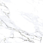Monster White 60x120 Gravita