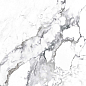 CR4006-A Borghini Silver Carving 60x60 Arcadia Ceramica