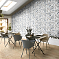 Inedito Ragno Marazzi