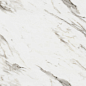 R_NR2004 Divine Calacatta Matt 60x120 Royce