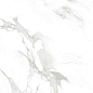 NR220 Lamia White Matt 60x120 PrimaVera