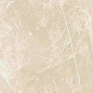 766953 Elemental Cream Dolomia Luc Ret 60x60 Cerim