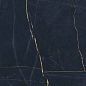 PF60011003 Precious Black Lux Ret 60x120 ABK