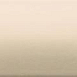 WARDT108 CONCEPT PLUS Beige 20x6 RAKO