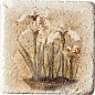 Inserto S3 Travertino 10x10 Serenissima Cir
