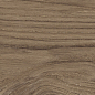 41729 Bloom Cognac SP/24x151x0,9/R 24x151 Peronda
