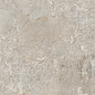 NTTVL99844D Axion Cold Mars Sugar Carving 60x120 NT Ceramic