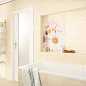 Reflection Paradyz