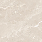 N40025 Luminia Beige Carving 60x120 Neodom
