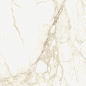 610010002745 Микеланджело Ворм 60x120 ColiseumGres