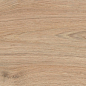 Sequoya Almond Rect 20x120 Baldocer