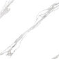 REGAL STATUARIO Glossy 60x120 One Touch
