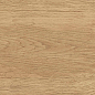 GT220VG Florida Бежевый 30x60 Global Tile