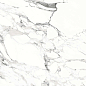 Bianco carrara PGVT 60x60 Casati Ceramica