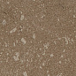 Buxy Noisette 300x100 Kerlite