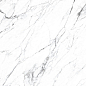 FPK00MQ011 LM STATUARIO MC 100X200 Roca Ceramica