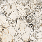 K948091LPR01VTER MarbleS Аляска R9 7ЛПР 60x120 Vitra