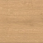 A8YB Entice Pale Oak Elegant R9 18,5x150 Atlas Concorde