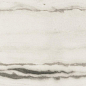 755833 Prexious White Fantasy Matte Ret 60x120 Rex Ceramiche