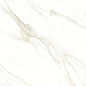 Cassini carrara PGVT 60x60 Casati Ceramica