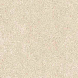 766611 Elemental Cream Sandstone Nat Ret 30x60 Cerim