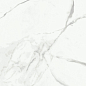 NR104 Dalim white 60x60 PrimaVera
