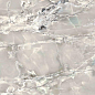 765959 Onyx&More Silver Blend Satin Ret 6mm 60x120 Casa Dolce Casa