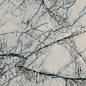 PF60009117 Sensi Signoria Lilac Grey Lux R 60x120 ABK