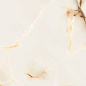 ASTER BEIGE Glossy 60x120 One Touch