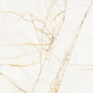 PF60017518 Supreme Hedonism Golden Spider Nat R 60x120 Flaviker