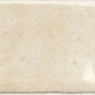 27985 Coco Canvas Glossy 5x15 EQUIPE