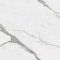 Statuario Fantastico Polished 60х120 Gravita