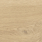41726 Bloom Honey SP/24x151x0,9/R 24x151 Peronda