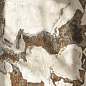 Magma Italon фото в миниатюре 75