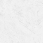 N12034 Carrara Antique Satin 120x120 Neodom