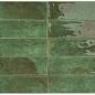 Tropicana Pine 7.5x30 Smile Tile фото в миниатюре 2