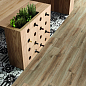 Barkwood White 20x120 Sant Agostino