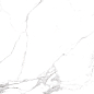 RT6015-A Statuario Fine Matt Rustic 60x60 Arcadia Ceramica фото в миниатюре