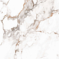 Pnr 10097 Polished 60x60 A-Ceramica